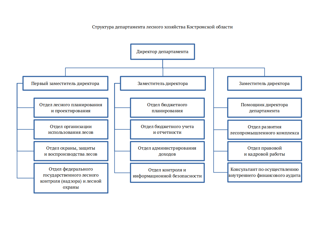 Структура ДЛХ. 2025-01-01.png Структура ДЛХ. 2025-01-01.png
